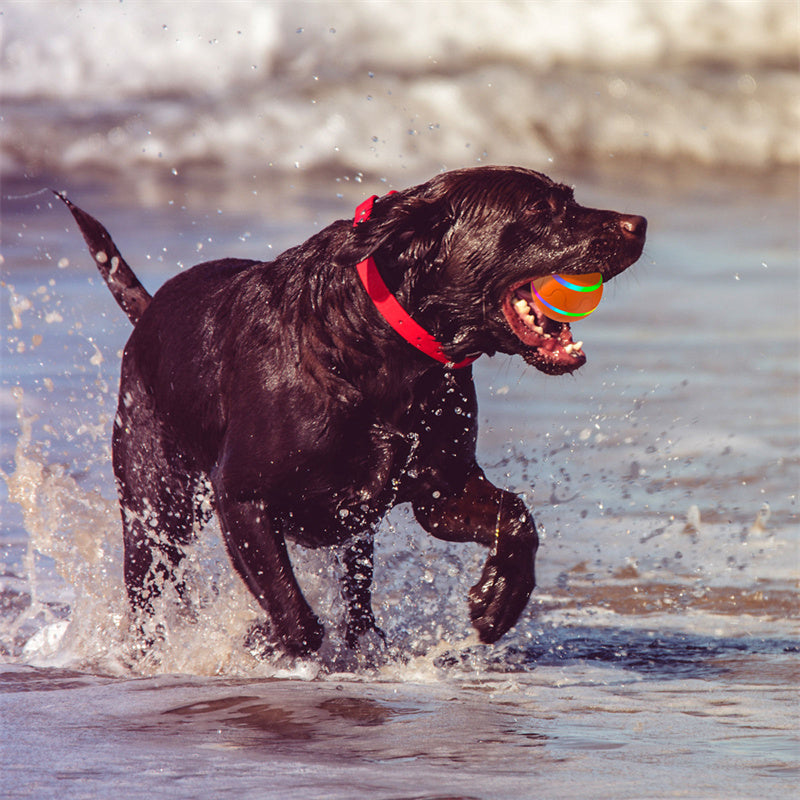 Intelligent Pet Self Rotating Ball