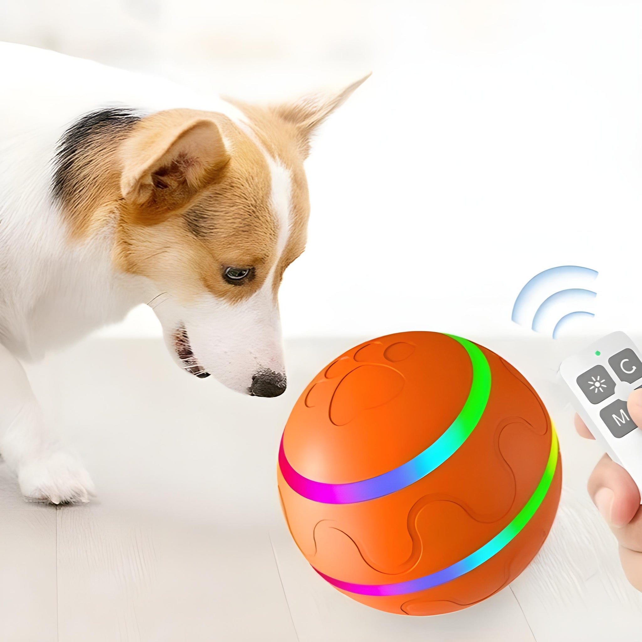 Intelligent Pet Self Rotating Ball